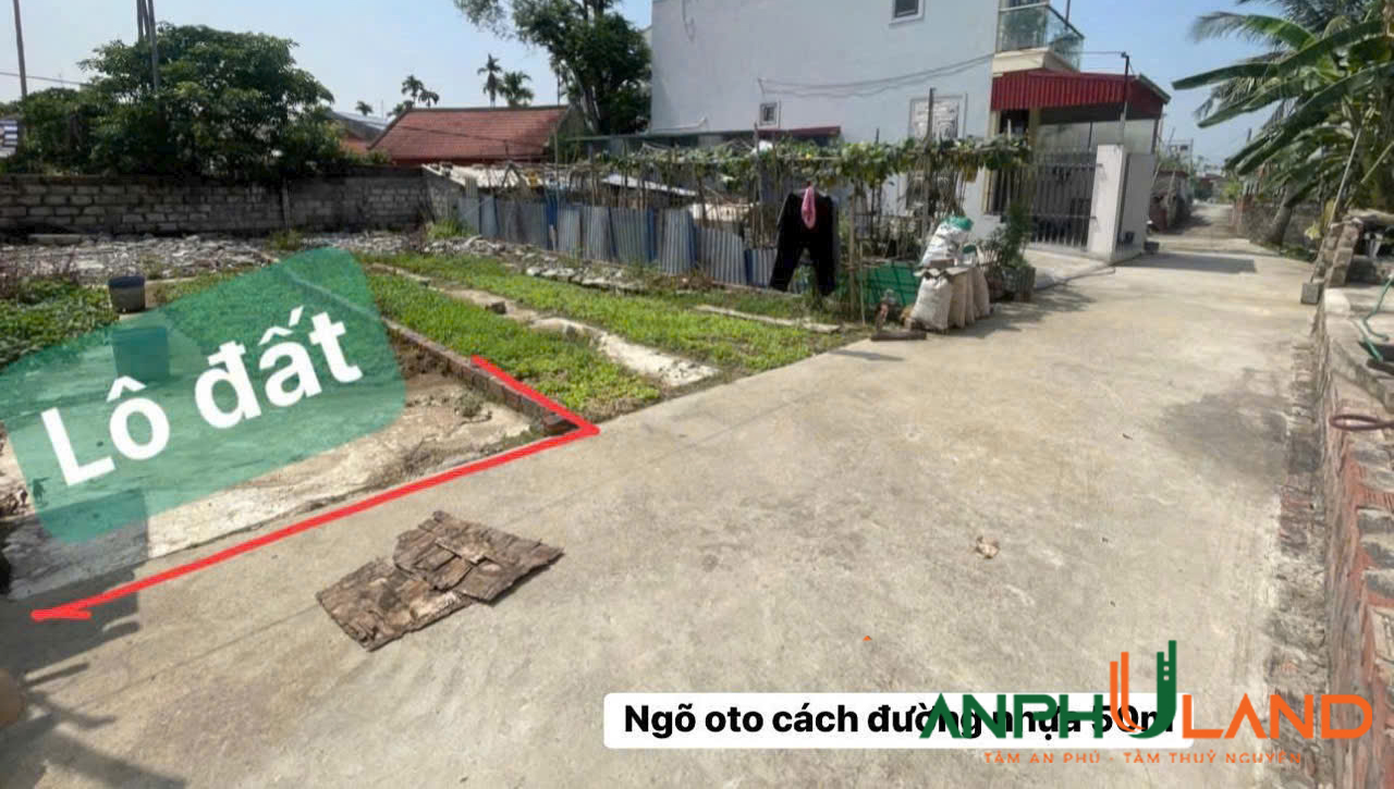 Cần bán lô đất đẹp tại TDP Bái Trong, phường Hoa Động, TP Thuỷ Nguyên, Hải Phòng