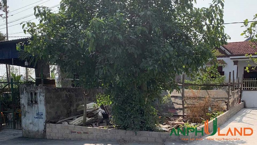Bán lô góc ngã 4  siêu  đẹp phường Hoa Động, TP Thuỷ Nguyên, Hải Phòng