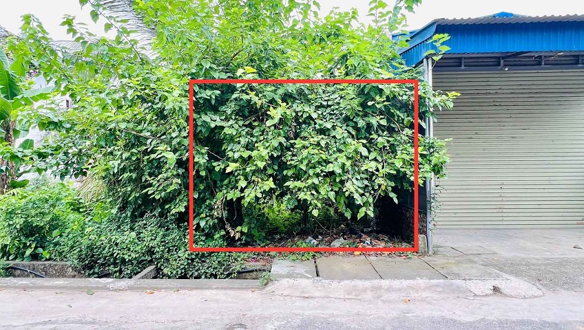 Cần bán đất mặt đường Phường Hoàng Lâm, TP Thủy Nguyên, Hải Phòng