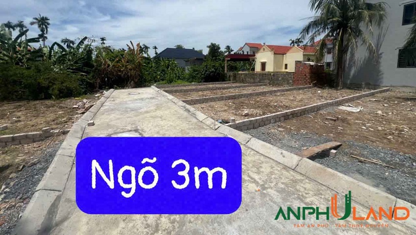 Hàng cực đẹp tại TDP Chùa, Phường Hoa Động, TP Thủy Nguyên
