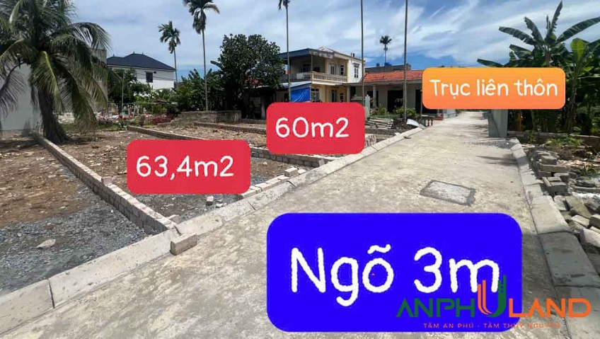 Hàng cực đẹp tại TDP Chùa, Phường Hoa Động, TP Thủy Nguyên