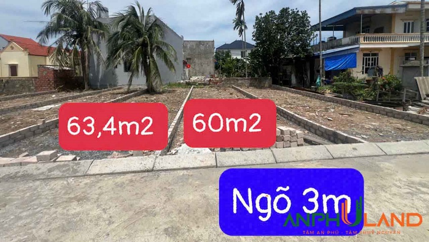 Hàng cực đẹp tại TDP Chùa, Phường Hoa Động, TP Thủy Nguyên
