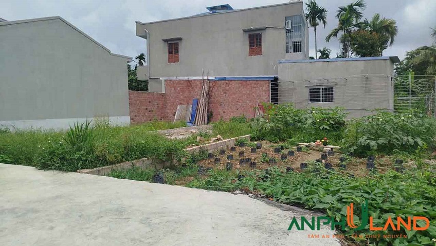 Cần bán lô đất rẻ nhất tại Phường Hoàng Lâm ( xã Lâm Động), TP Thủy Nguyên