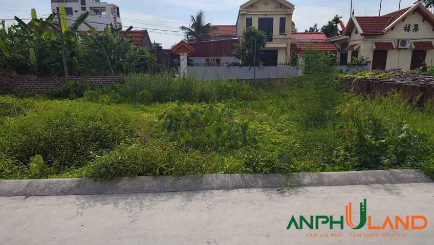 Cần bán lô đất TDP Đông, Phường Hoàng Lâm, TP Thủy Nguyên, Hải Phòng