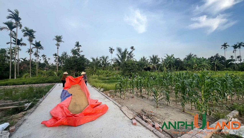 Cơ hội sở hữu lô đất đẹp giá công nhân tại Phường Thiên Hương, TP Thủy Nguyên, Hải Phòng