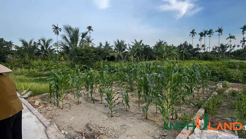 Cơ hội sở hữu lô đất đẹp giá công nhân tại Phường Thiên Hương, TP Thủy Nguyên, Hải Phòng