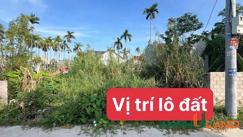 Siêu phẩm đất trục TDP Đền, phường Thiên Hương (Lâm Động), TP Hải Phòng