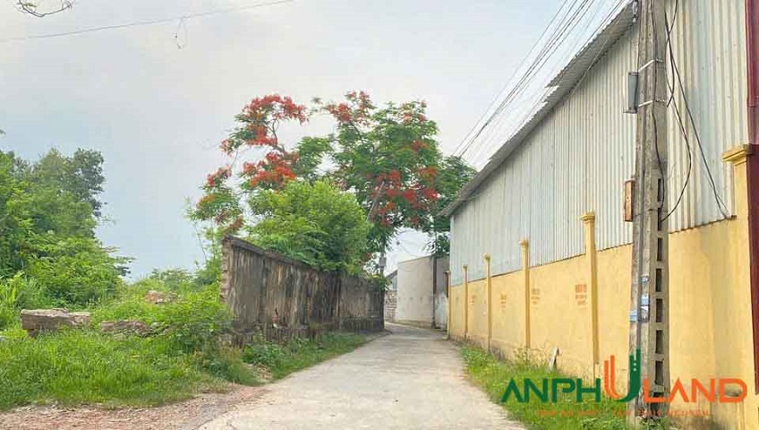 Cần bán 2 lô đất vị trí cực đẹp tại Phường Hòa Bình, TP Hải Phòng