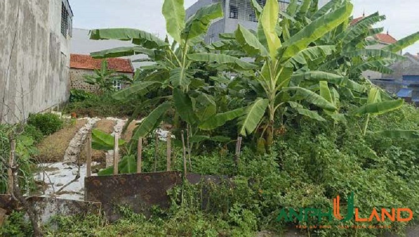 Bán nhanh lô đất giá rẻ phường Thuỷ Nguyên (Thuỷ Sơn), TP Hải Phòng