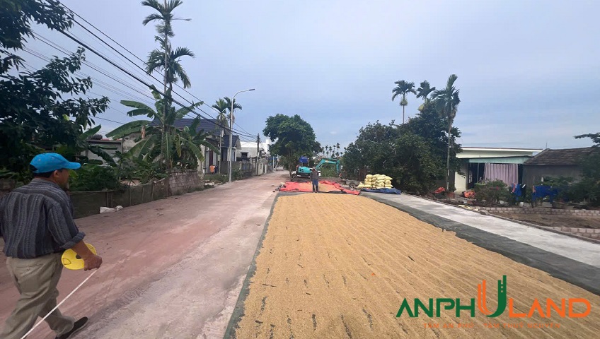Cần bán lô đất vị trí đắc địa tại Phường Thiên Hương ( xã Hoàng Động), TP Hải Phòng