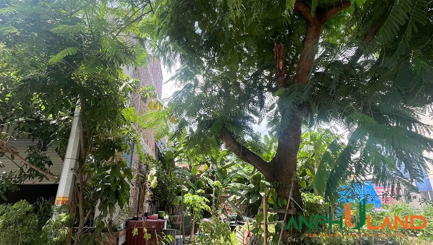 Cần bán siêu phẩm mặt đường 25/10, Phường Thủy Nguyên ( xã Thủy Sơn), TP Hải Phòng