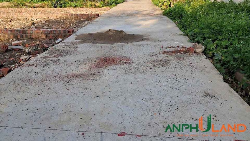 Cần bán lô đất hàng đẹp TDP Đông, phường Thiên Hương (xã Hoàng Lâm), TP Hải Phòng