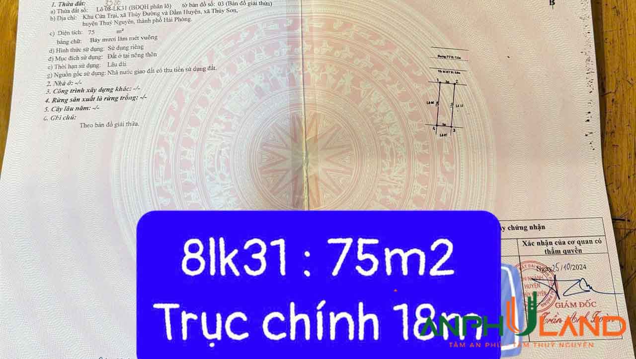 Bán lô đất khu đấu giá Cửa Trại, Phường Thủy Nguyên ( xã Thủy Đường), TP Hải Phòng