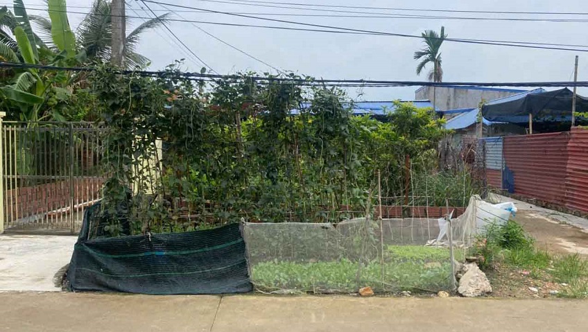 Cần bán lô đất đẹp tại phường Thủy Nguyên ( xã Hoa Động), TP Hải Phòng