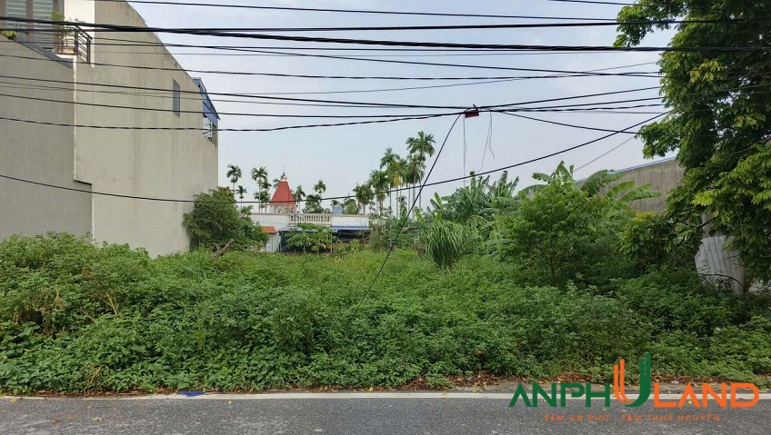Bán nhanh lô đất mặt đường 203 phường Thiên Hương (xã Lâm Động), TP Hải Phòng