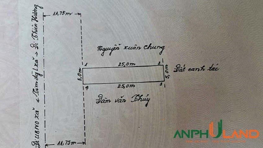 Bán nhanh lô đất mặt đường 203 phường Thiên Hương (xã Lâm Động), TP Hải Phòng