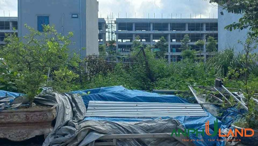 Cần bán đất TĐC Khu D, Bắc Sông Cấm Phường Thủy Nguyên ( xã Dương Quan), TP Hải Phòng