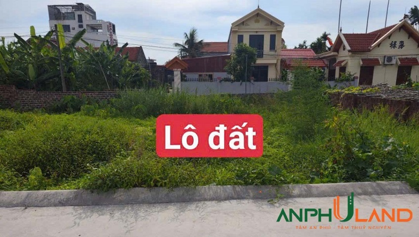 Bán lô đất cách đường 203 phường Thiên Hương (xã Lâm Động), TP Hải Phòng