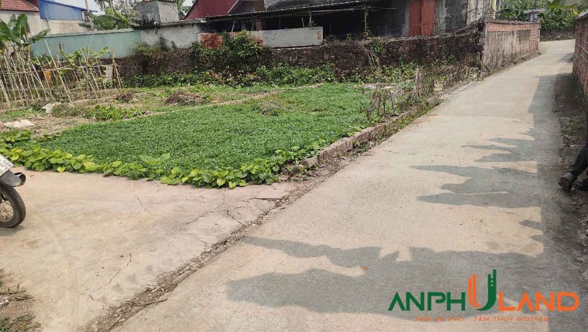 Cần bán đất lô góc siêu đẹp tại TDP 7, Phường Hòa Bình, TP Hải Phòng