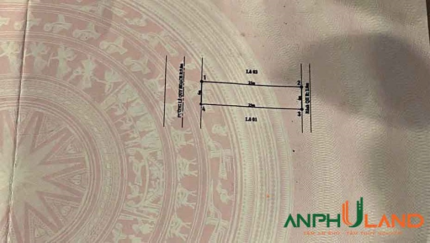 Cần bán đấu giá siêu tiềm năng tại Tây Con Cá, phường Thủy Nguyên ( xã Hoa Động), TP Hải Phòng