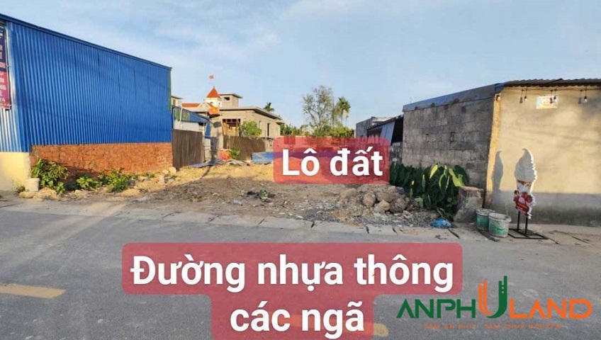 Bán lô đất ngay cạnh chợ Cau phường Lê Ích Mộc (xã Quảng Thanh), TP Hải Phòng