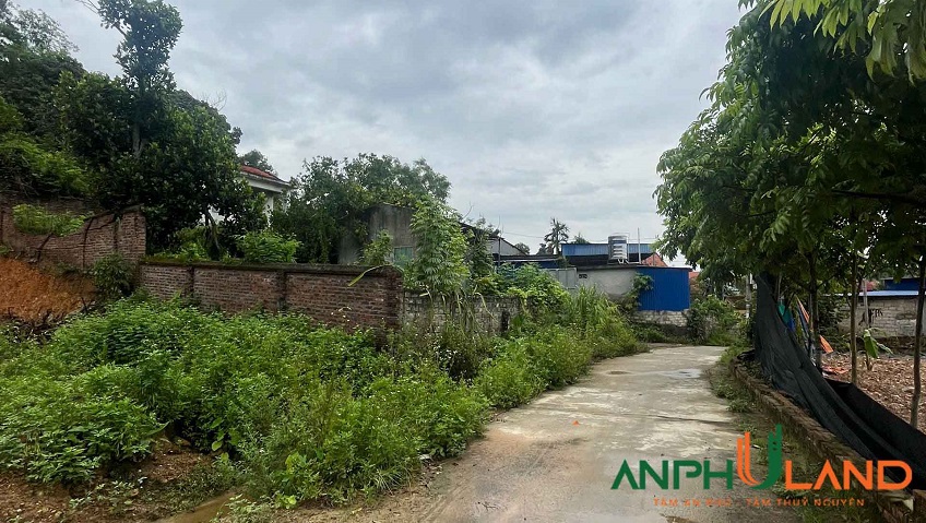 Cần bán 100 m2 đất Phường Lê Ích Mộc ( xã Chính Mỹ ), TP Hải Phòng