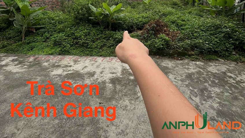 Chào bán lô đất 63 m2 tại Phường Lưu Kiếm ( xã Kênh Giang), TP Hải Phòng