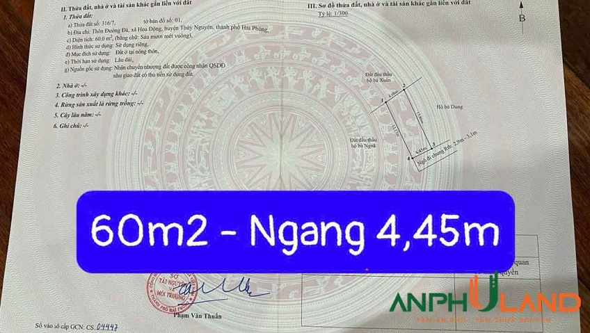 Cần bán 2 lô liền kề có sẵn nhà cấp 4 tại TDP Đường Đá, Phường Thủy Nguyên ( xã Hoa Động)