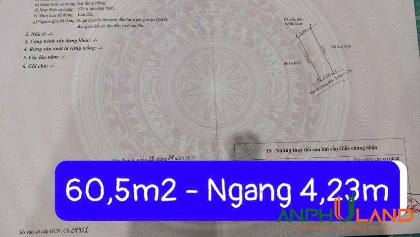 Cần bán 2 lô liền kề có sẵn nhà cấp 4 tại TDP Đường Đá, Phường Thủy Nguyên ( xã Hoa Động)
