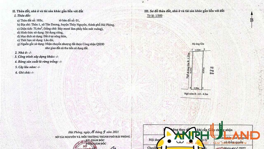 Chính chủ gửi bán lô đất đẹp tại Phường Thuỷ Nguyên ( xã Tân Dương ), TP Hải Phòng