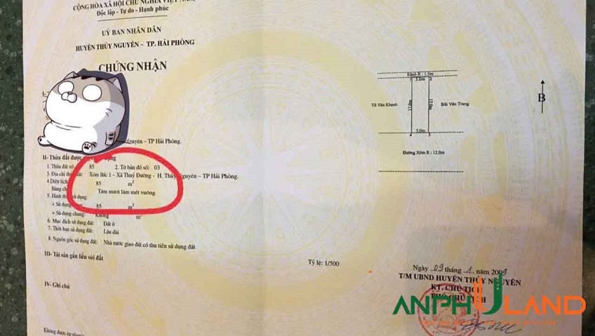 Chính chủ bán lô đất khu Đồng Dộc, TDP Bấc, Phường Thủy Nguyên ( xã Thuỷ Đường )