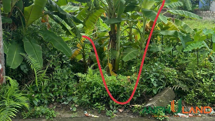 Bán lô đất giá siêu rẻ phường Thiên Hương, TP Hải Phòng