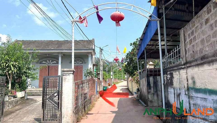 Cần bán đất tổ dân phố Phường Thủy Nguyên ( xã Thủy Đường), TP Hải Phòng