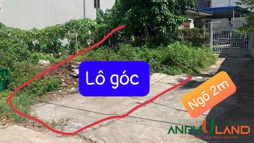 Cần bán lô góc hai mặt tiền tại TDP Phường Thủy Nguyên ( TT Núi Đèo), TP Hải Phòng