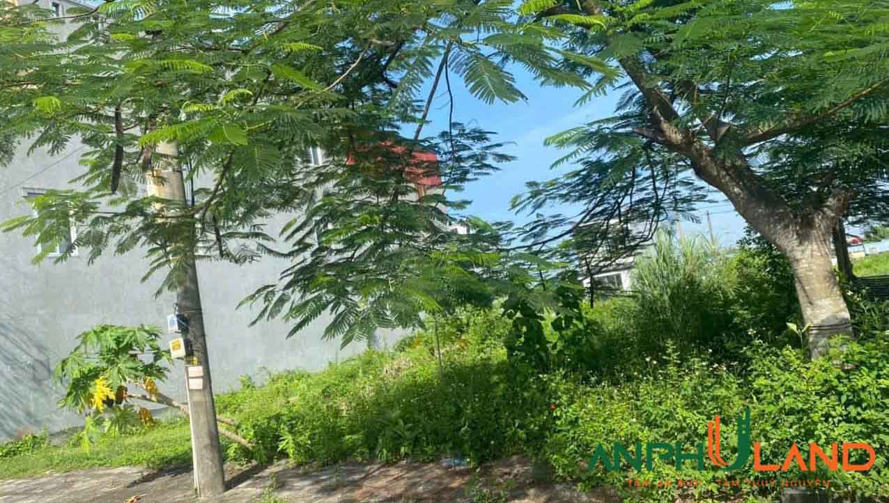 Chính chủ gửi bán lô đất tại chung cư Vườn Ổi, TDP Sú, Phường Thiên Hương ( xã Lâm Động), TP Hải Phòng