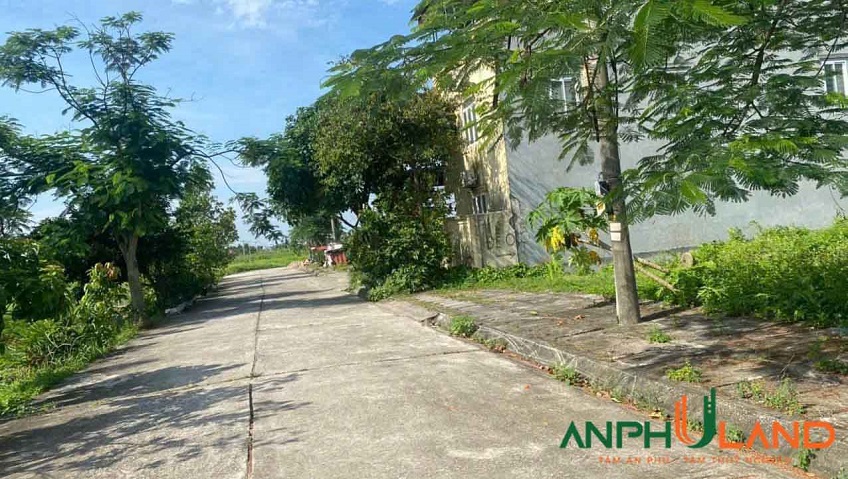 Chính chủ gửi bán lô đất tại chung cư Vườn Ổi, TDP Sú, Phường Thiên Hương ( xã Lâm Động), TP Hải Phòng