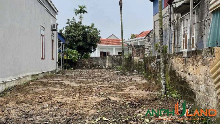 Nhà em cần bán lô đất chính chủ tại phường Bạch Đằng (Ngũ Lão), TP Hải Phòng