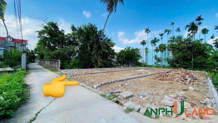 Bán lô đất tuyến 2 đường 203 chợ Hoa Động, phường Thuỷ Nguyên, TP Hải Phòng