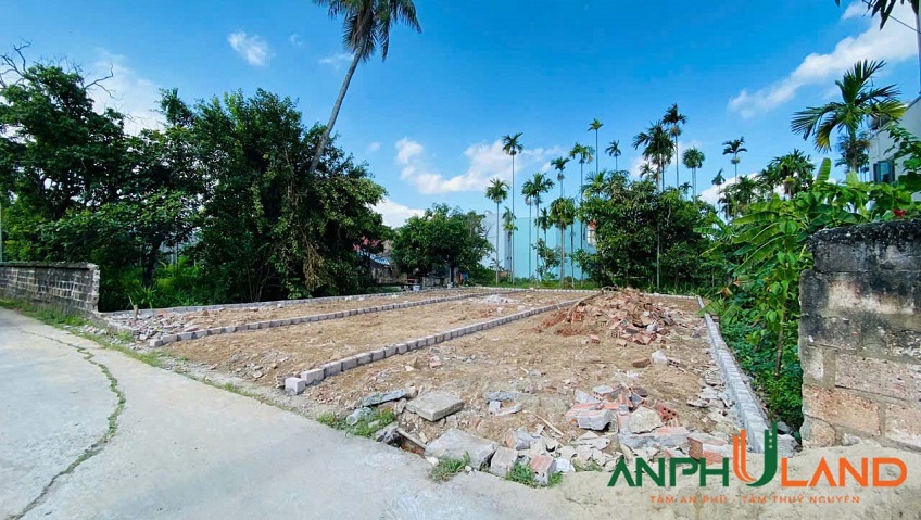 Bán lô đất tuyến 2 đường 203 chợ Hoa Động, phường Thuỷ Nguyên, TP Hải Phòng