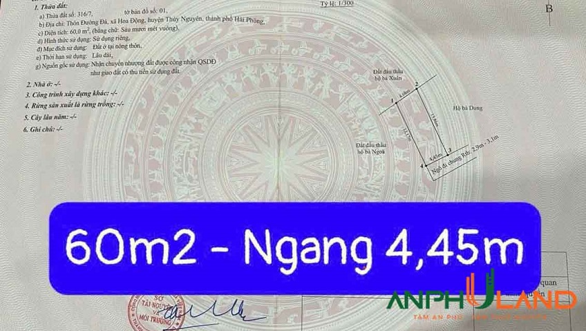 Cần bán 2 lô liền kề có sẵn nhà cấp 4, tại TDP Đường Đá, Phường Thủy Nguyên (xã Hoa Động)