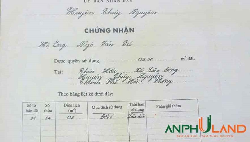 Chuyển nhượng lô đất mặt đường 203 Phường Thiên Hương ( xã Lâm Động), TP Hải Phòng