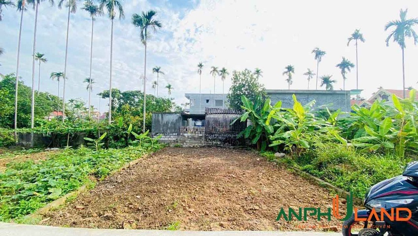 Cần bán 70 m2 đất TDP Hầu, Phường Thiên Hương ( xã Lâm Động), TP Hải Phòng