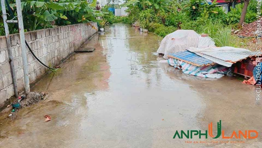 Chào bán lô góc sẵn bìa tại Phường Thiên Hương ( xã Lâm Động), TP Hải Phòng