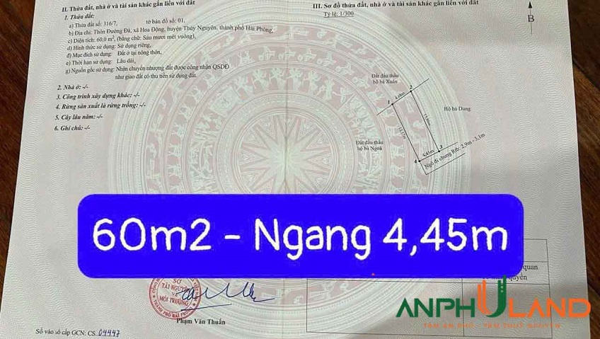 Cần bán 2 lô liền kề có sẵn nhà cấp 4 tại TDP Đường Đá, Phường Thủy Nguyên ( xã Hoa Động)
