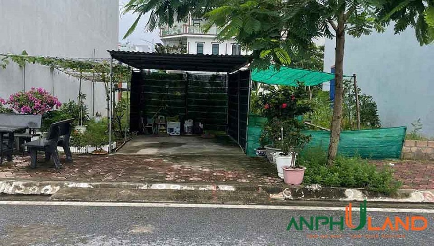 Chào bán lô 24 LK11 Tái Định Cư Áp Tràn,  Phường Thuỷ Nguyên (xã Dương Quan), TP Hải Phòng