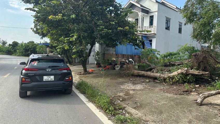Cần tiền bán gấp một lô đất mặt đường nhựa liên tỉnh Xã Việt Khê ( xã An Sơn cũ), TP Hải Phòng