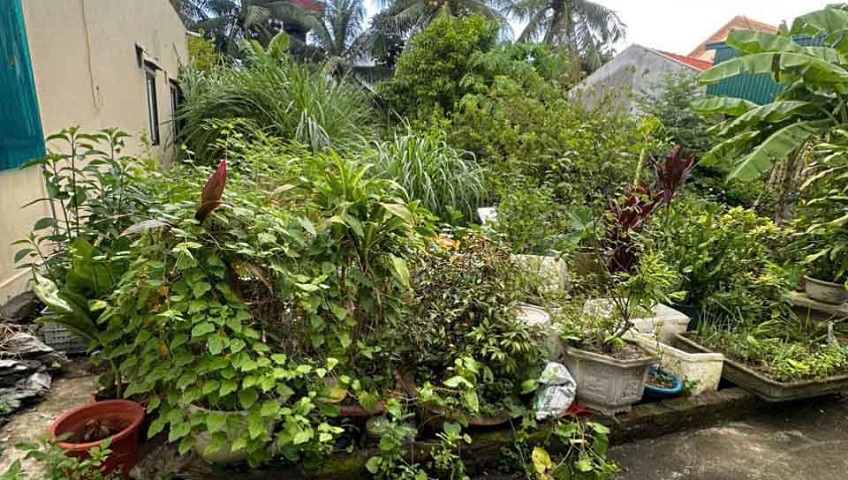 Cần bán đất trung tâm TDP 1, phường Thủy Nguyên ( xã Thủy Sơn), TP Hải Phòng