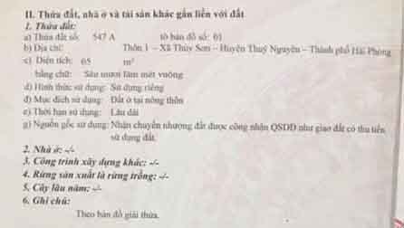 Cần bán đất trung tâm TDP 1, phường Thủy Nguyên ( xã Thủy Sơn), TP Hải Phòng