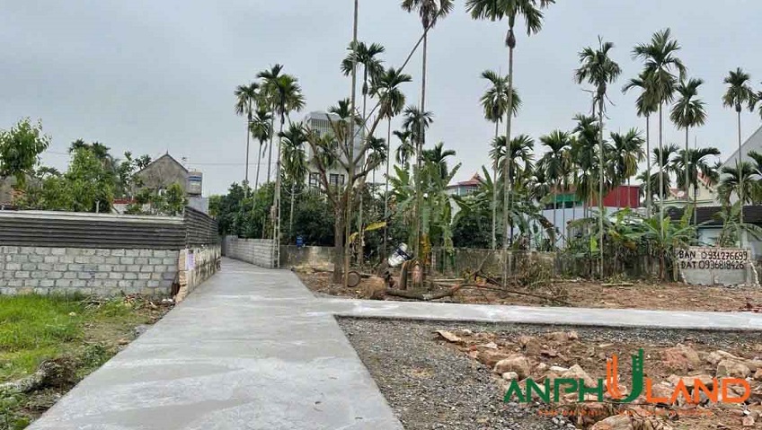 Chuyển nhượng lô đất tại TDP Hầu, Phường Thiên Hương ( xã Lâm Động), TP Hải Phòng