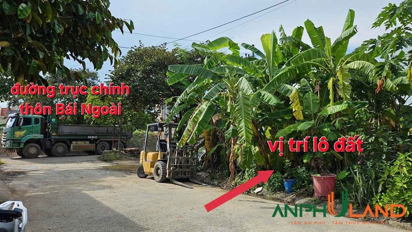 Cần bán lô đất chung cư Bính, Phường Thủy Nguyên ( xã Hoa Động), TP Hải Phòng